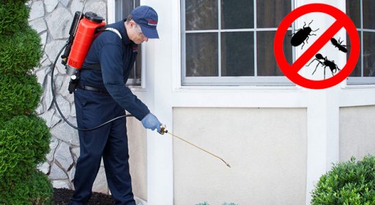 Korkuteli Dezenfeksiyon böcek ilaçlama ve haşere kontrolü — ilaclama-tr.com